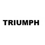  Triumph Bonneville T 100, (70G) 2017-